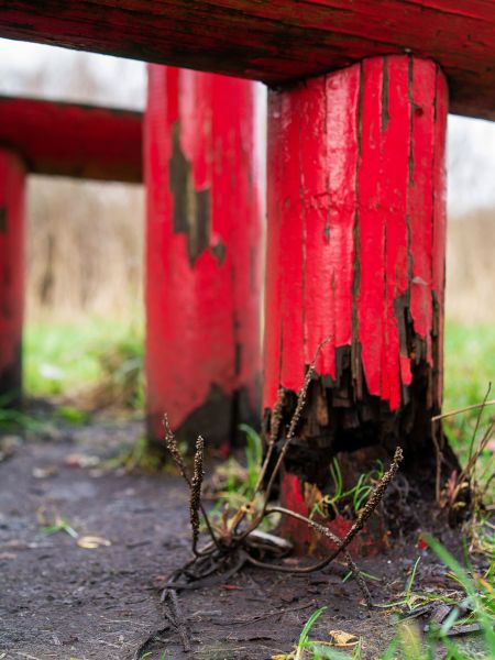 Rotten Column Replacement in Alexandria